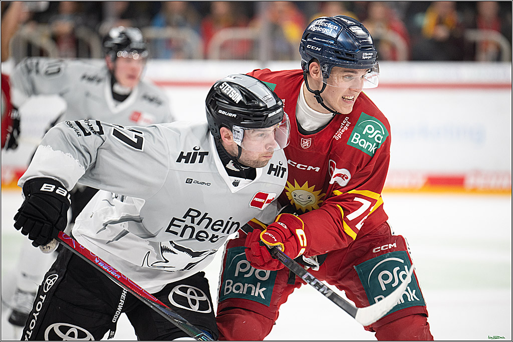 PENNY DEL; Duesseldorfer EG- Koelner Haie; Duesseldorf, 24.01.2025